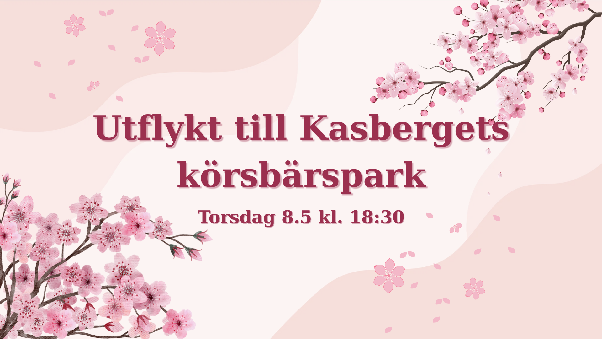 Utflykt till Kasbergets körsbärspark